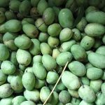 আঁটির আম - ২০কেজি