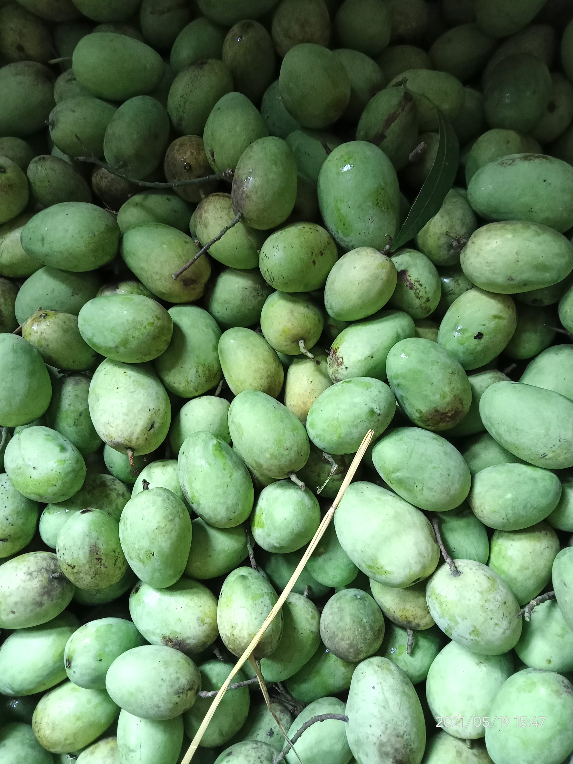 processed-5-scaled.jpeg আঁটির আম - ২০কেজি - Image 1