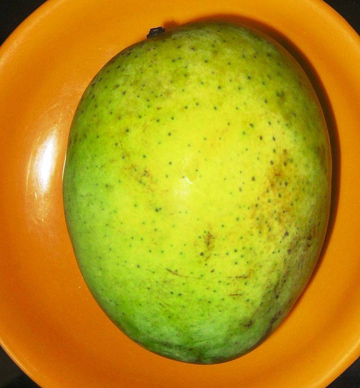 A_'Langra'_mango ল্যাংড়া আম - ১০কেজি - Image 1