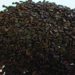 তোকমা দানা - ১০০গ্রাম