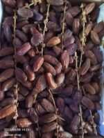 ডেগলেট নূর বারারি খেজুর - Image 3