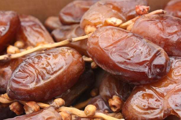 Deglet Nour dates Dates in branches at maturity ডেগলেট নূর বারারি খেজুর - Image 1