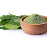 Plant Curry Leaves Plant for Good Health 0 1200