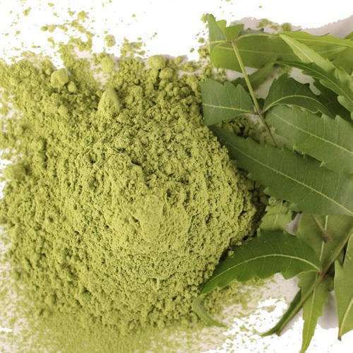 neem-leaves-powder-500x500-1.jpg নিম পাতার গুড়া - ১০০গ্রাম - Image 1