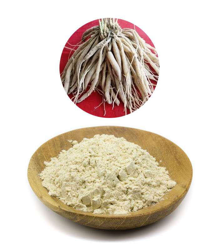 shotomul.jpg শতমুল চুর্ণ - ১০০গ্রাম - Image 1