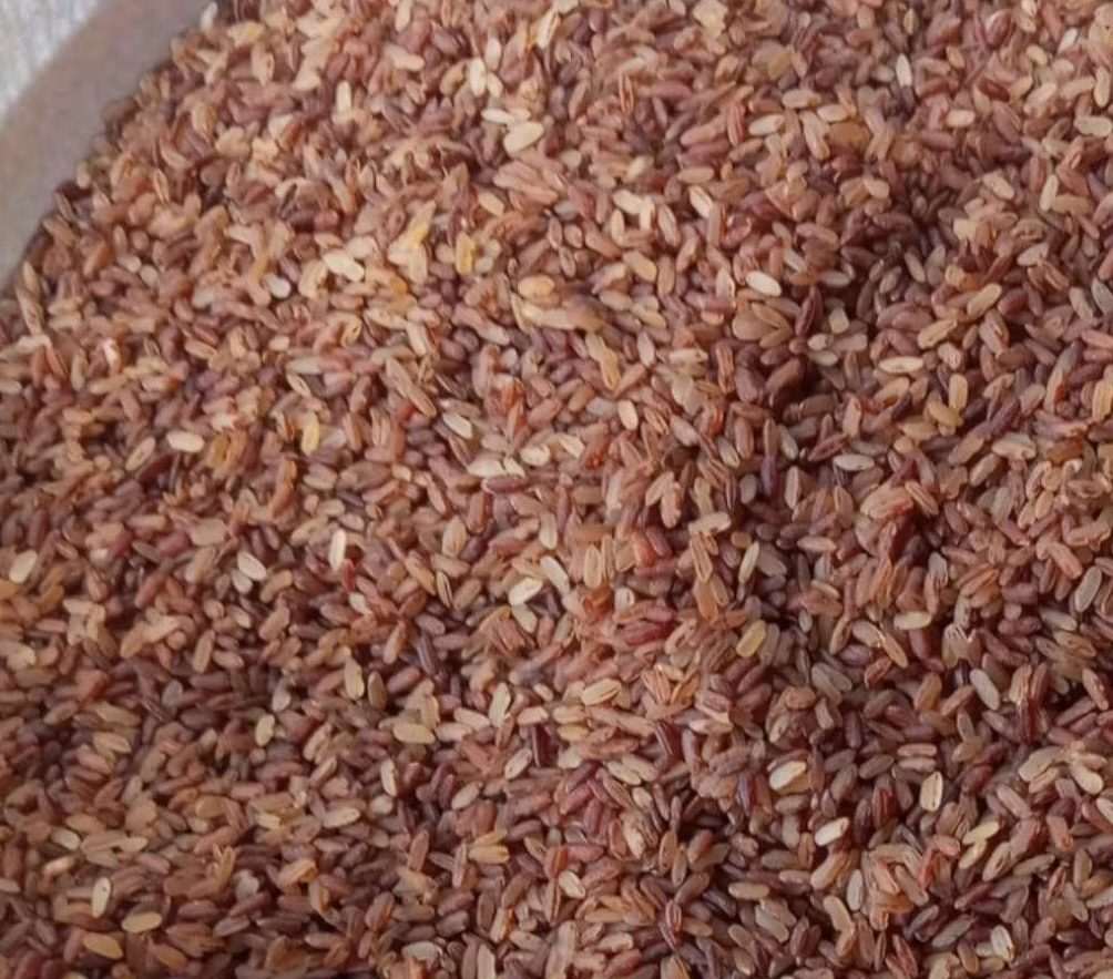 lal chal আউশের লাল চাল (half fibre) - Image 1
