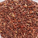 full fiber chal e1770212150528