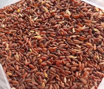 full fiber chal e1770212150528